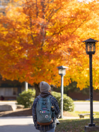 Student walking on campus in fall in front of tree with orange leaves